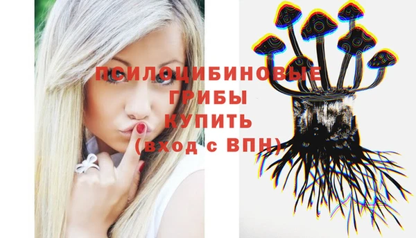 винт Белокуриха