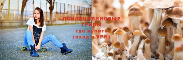 COCAINE Беломорск