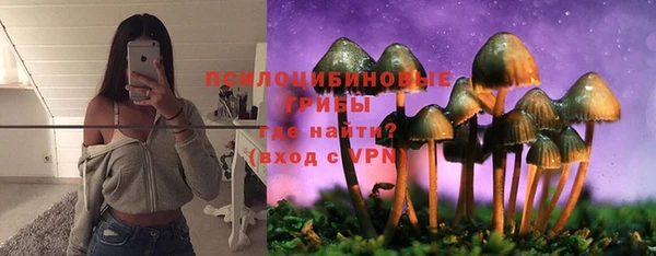 винт Белокуриха
