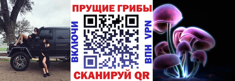 Галлюциногенные грибы мицелий  где найти наркотики  Малмыж 